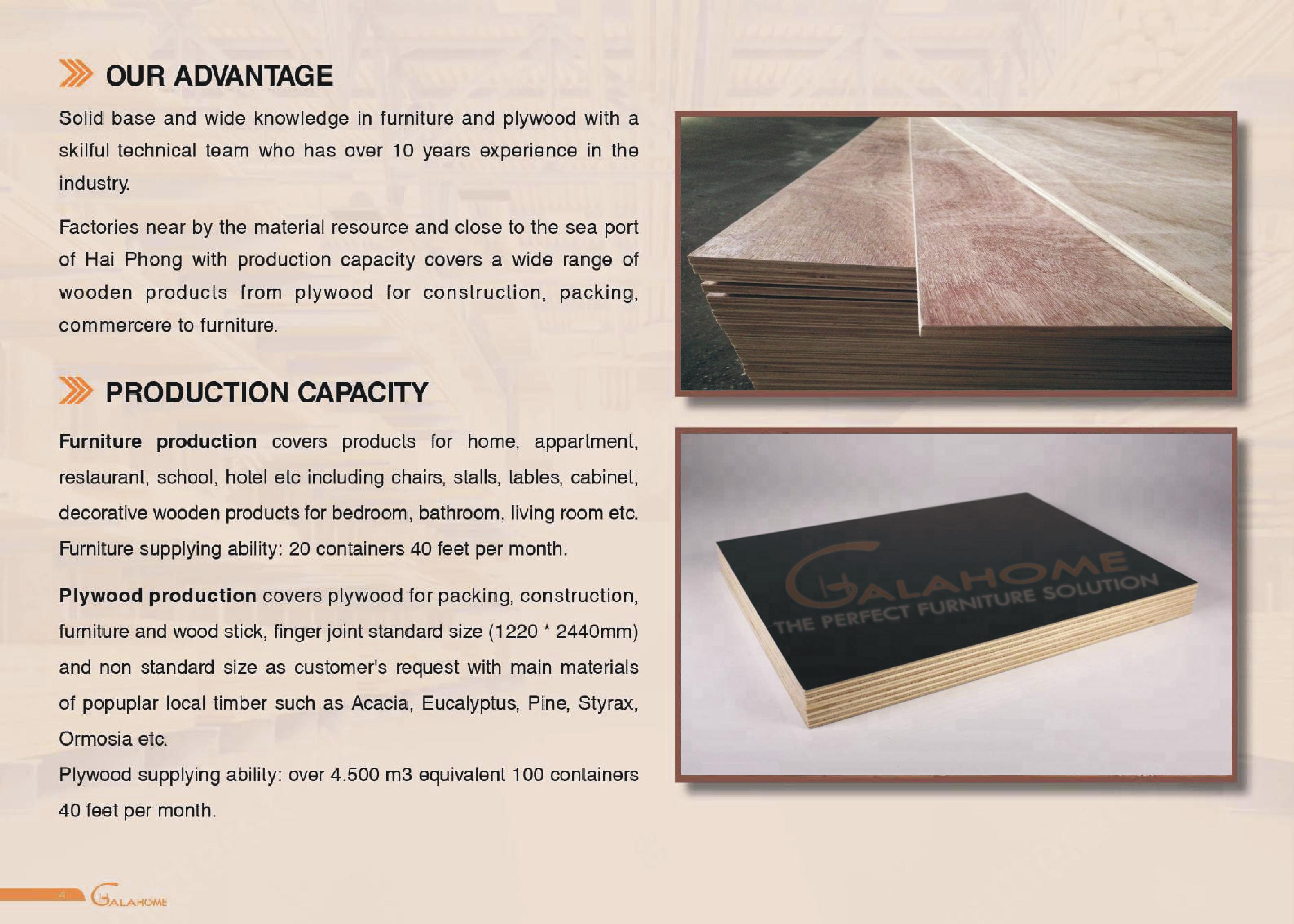 Galahome-Plywood-catalog-profile-trang-10.jpg