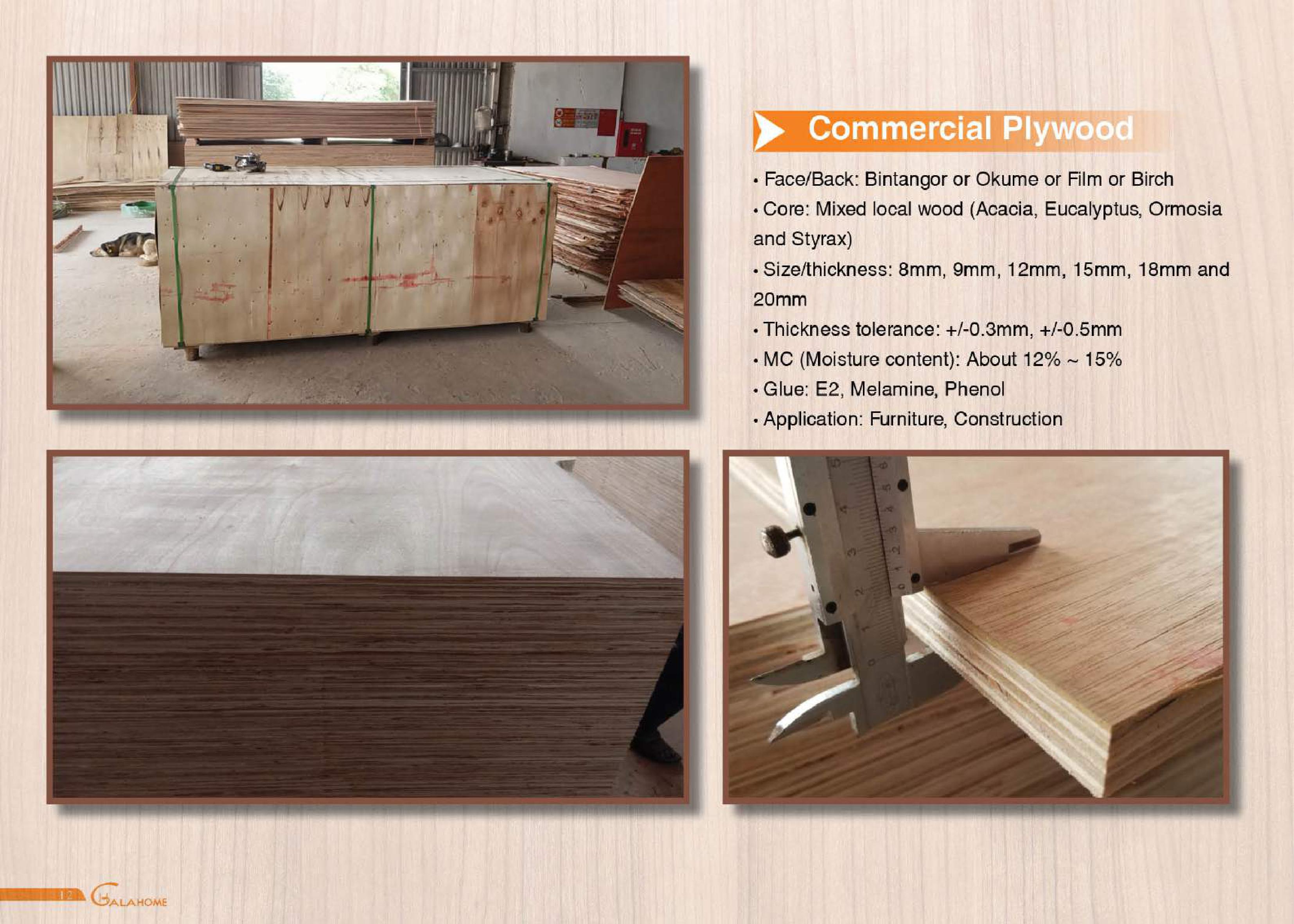 Galahome-Plywood-catalog-profile-trang-4.jpg